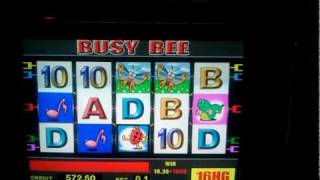 Busy Bee 5er Scatter.mp4