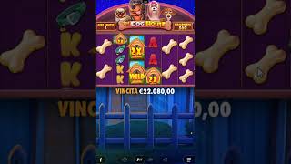 🐶 The Dog House Megaways – BIG WIN BONUS! Massive Payouts & Crazy Spins! 💰🎰
