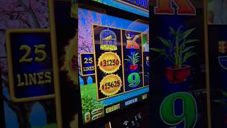 First EVER $3,125/Spin on Dragon Link! #vegas #dragonlink #casino