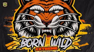 x2500 Born Wild (Hacksaw Gaming) Online Slot MAX WIN #shorts