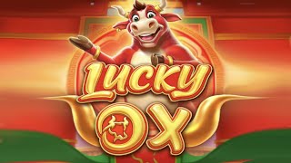 Lucky Ox slot | Pragmatic Play | game testing