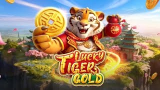 Lucky Tiger Gold slot | Pragmatic Play | gameplay