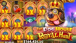 💥 The Dog House – Royal Hunt (Pragmatic Play) 💥 Biggest EPIC WINs!