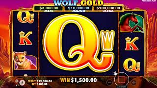 Jackpot by the GOLDEN WOLF!🦊🦊🦊